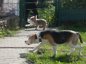 Pension_37