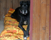 Pension_50