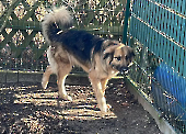 Pension_45