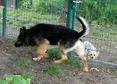 Pension_21