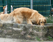 Pension_34