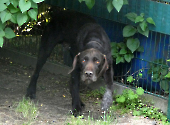 Pension_43