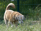 Pension_44