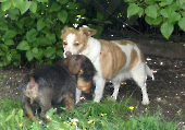 Pension_56