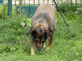 Pension_11