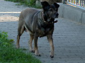 Pension_15