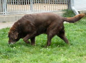 Pension_21