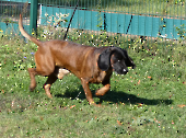 Pension_28