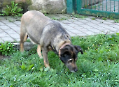 Pension_59