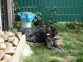Pension_21