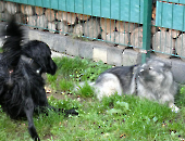 Pension_2