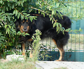 Pension_30