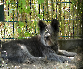 Pension_52