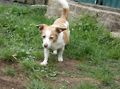 Pension_21