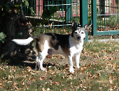 Pension_38