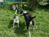 Pension_132