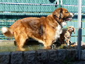Pension_36