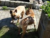 Pension_39