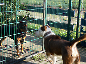 Pension_80