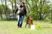 Training und Spass_24