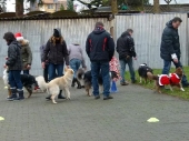 Weihnachten 2013_13