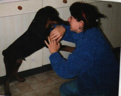 Rocky ein Rottweiler und eine Seele von Hund