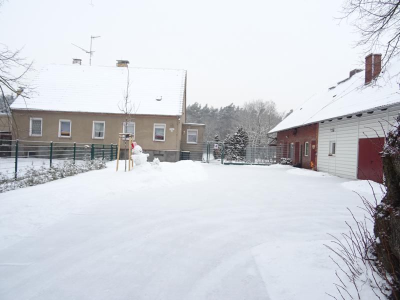 Winter_1