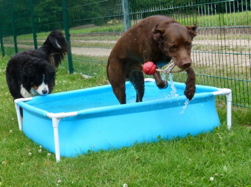 rennen und toben_15