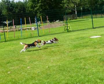 rennen und toben_6