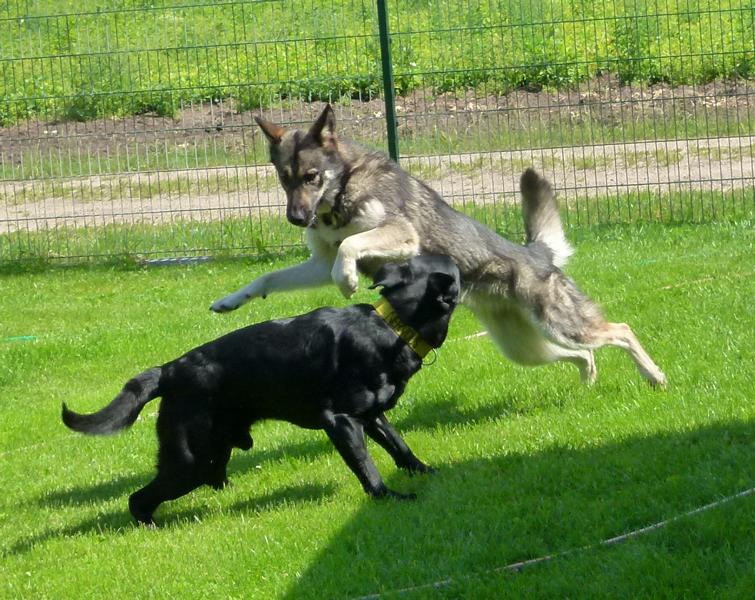 rennen und toben_7