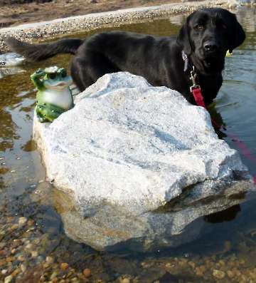 schwimmen,rennen und toben_19