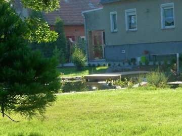 schwimmen,rennen und toben_31