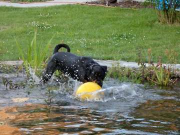 Wasser_16