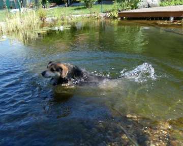 Wasser_8