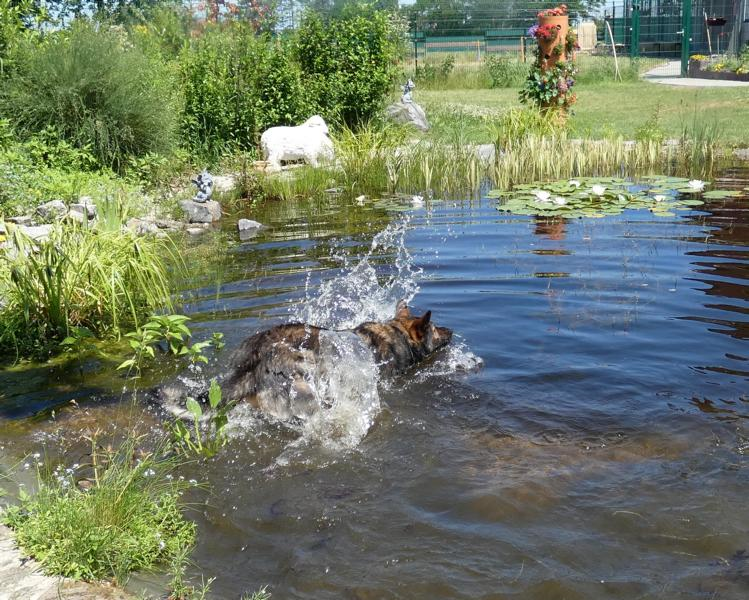 Wasserspaß_4