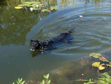 Wasserspaß_7