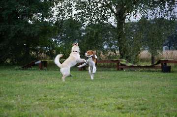 Action_2