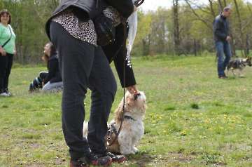 Welpen_12
