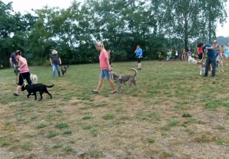 Gruppenarbeit_1