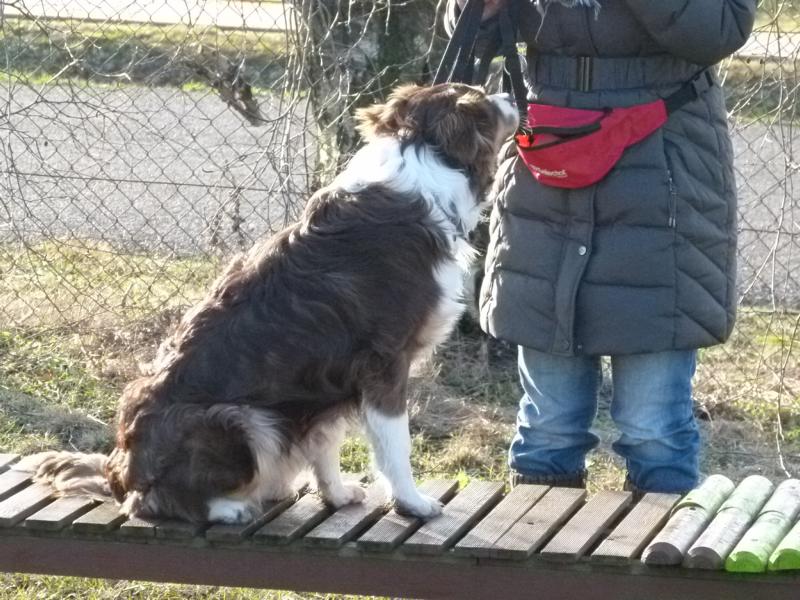 Januar 2015_20