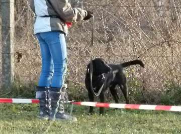 Januar 2015_28
