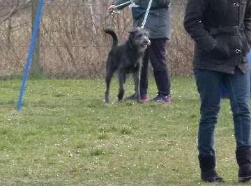 Training_10