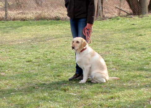 Training_11