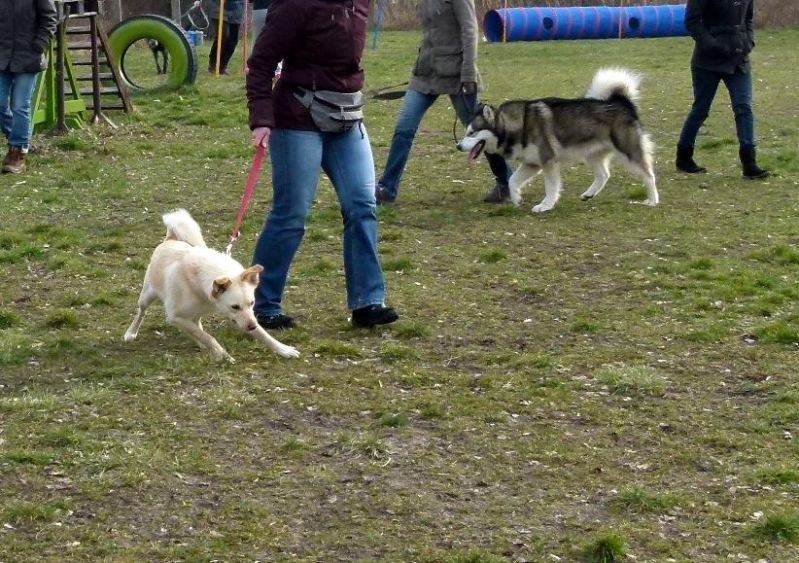 Training_12