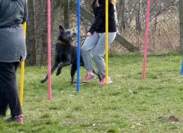Training_13