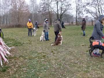 Training_22