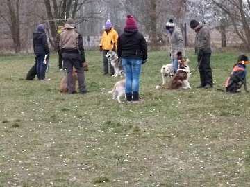 Training_29