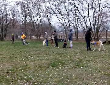 Training_31