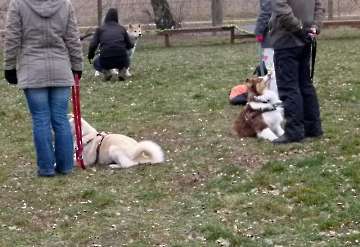 Training_5