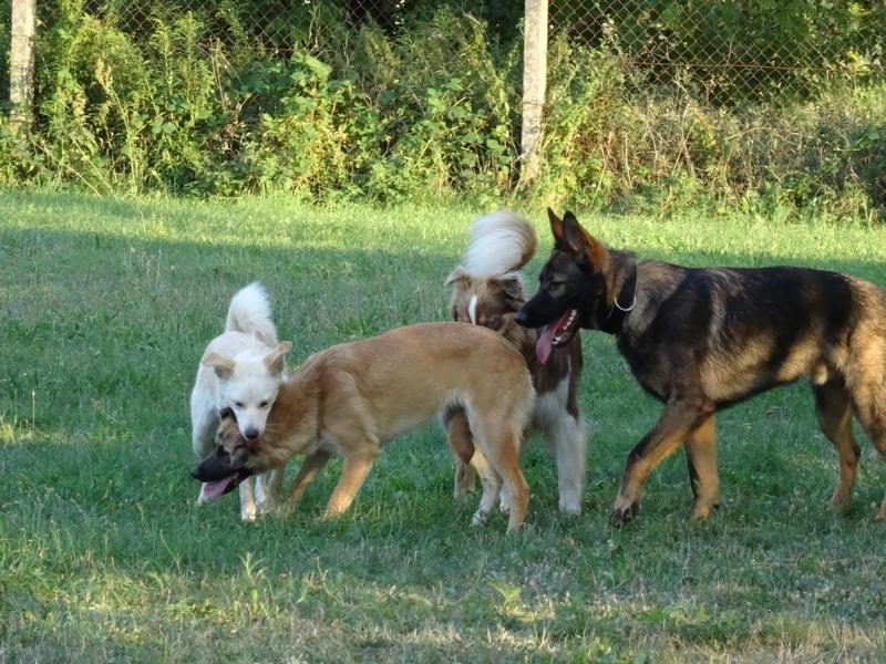 Training und Spaß danach_23
